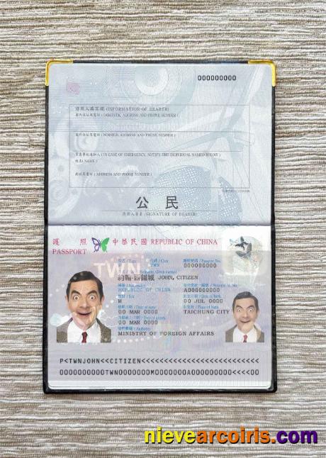 Taiwan passport photolook